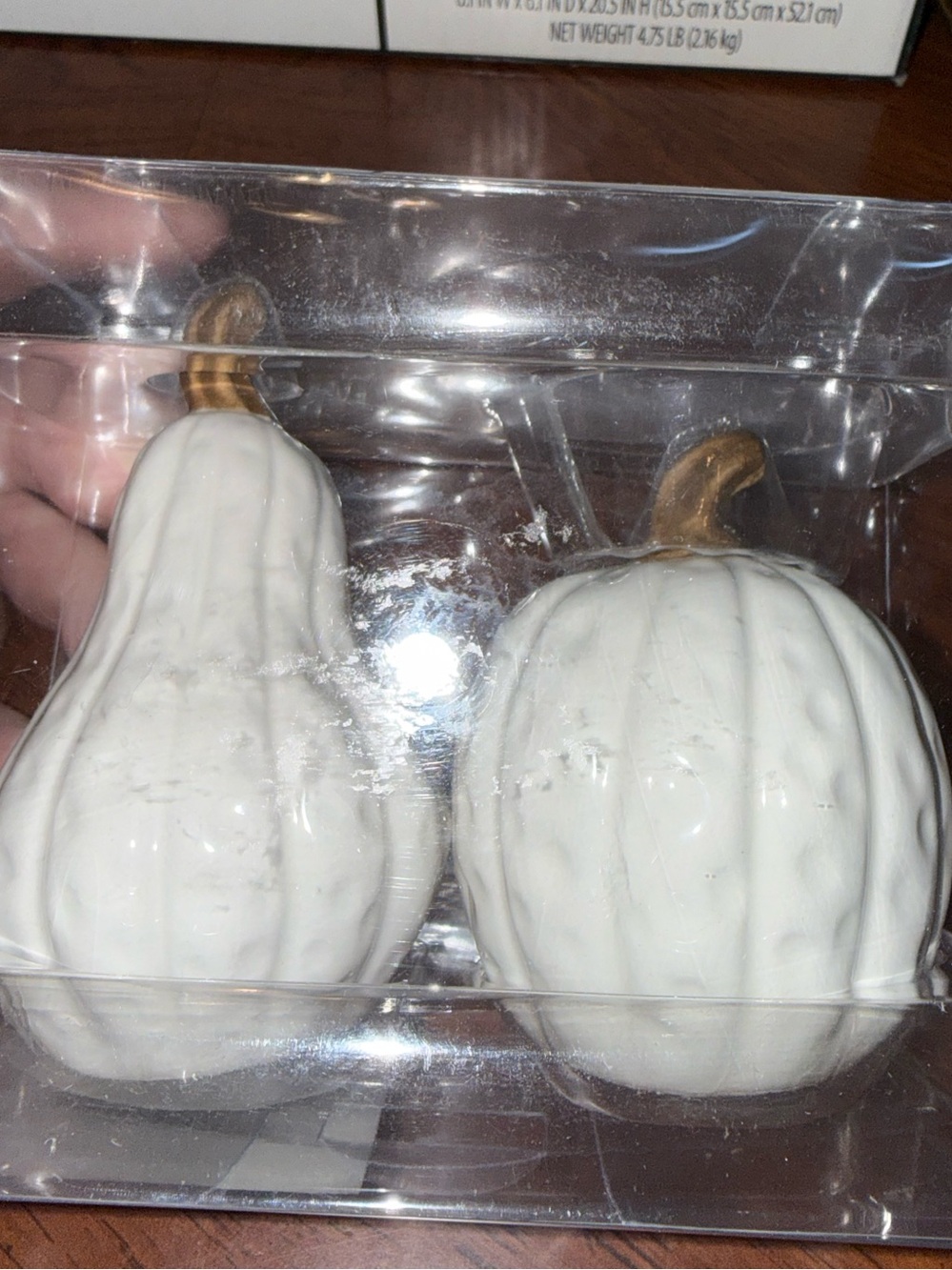 Hobby Lobby Cream Ceramic Pumpkin Salt and Pepper Shakers with Gold Accents